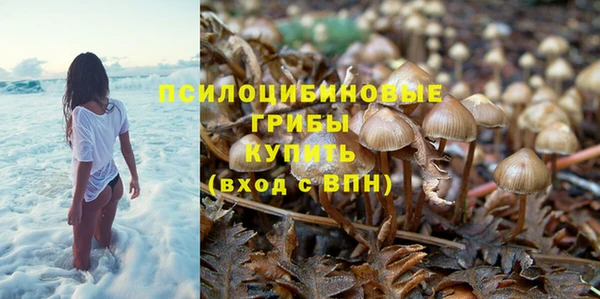 СК Алзамай