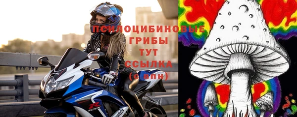 трава Арсеньев