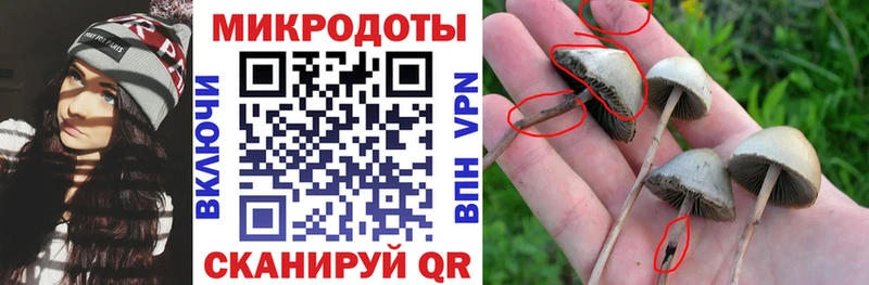 Галлюциногенные грибы Psilocybine cubensis  MEGA зеркало  Сураж 