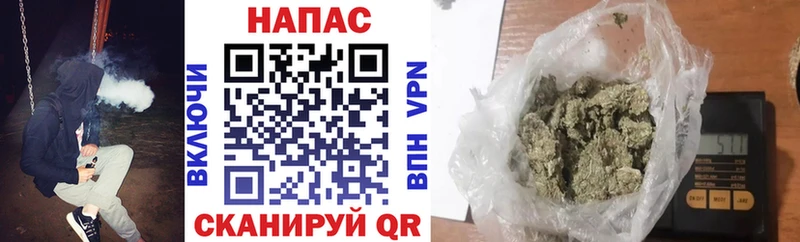 ссылка на мегу маркетплейс  Сураж  Марихуана MAZAR 